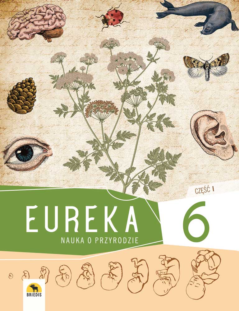 Eureka 6. Podręcznik nauki o przyrodzie dla klasy 6, część I