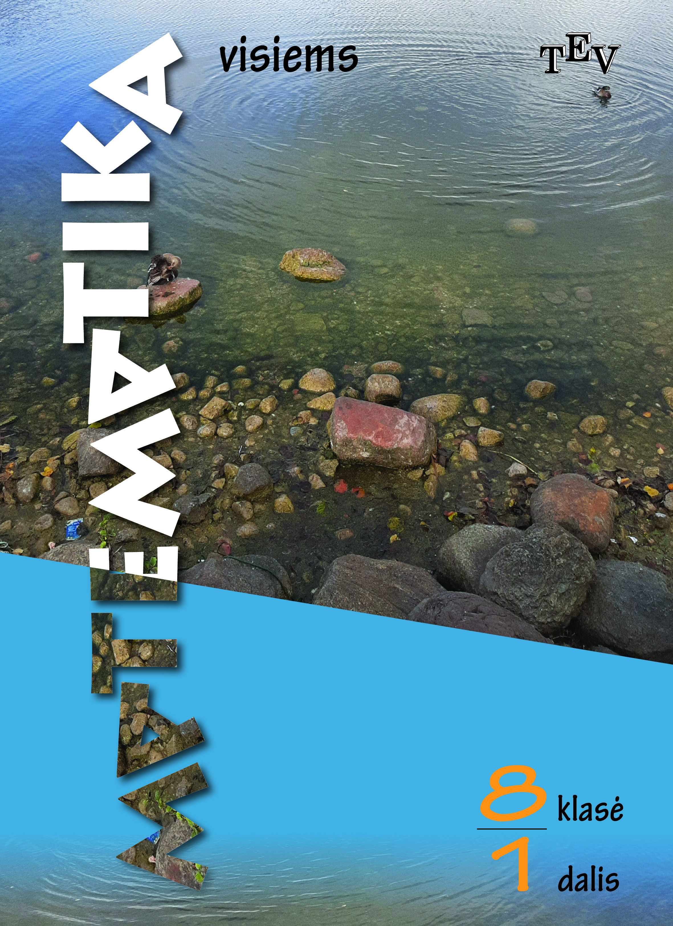 Matematika visiems. Vadovėlis 8 klasei, 1 dalis